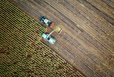 Ein Feld wird mit landwirtschaftlichen Maschinen geerntet.