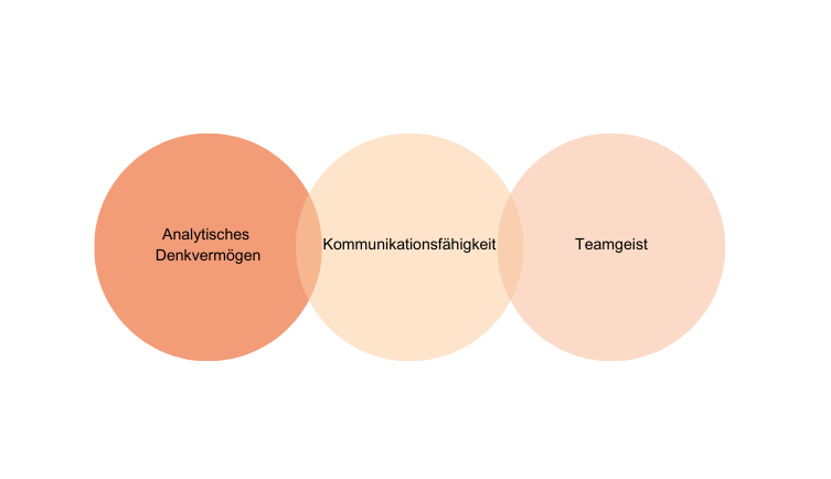 Soft Skills Werkstudenten Studentenjob